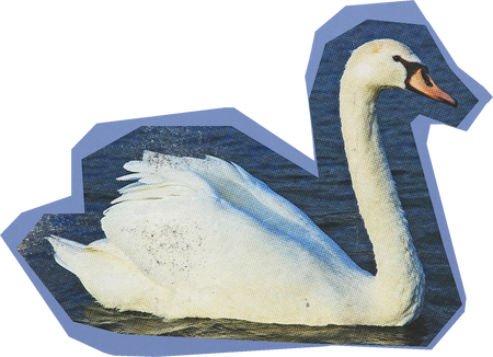 Swan Cut Out